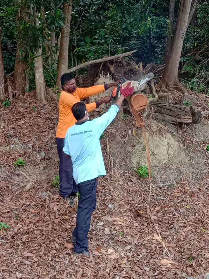 KERJA-KERJA PEMBERSIHAN DAHAN POKOK/SAMPAH