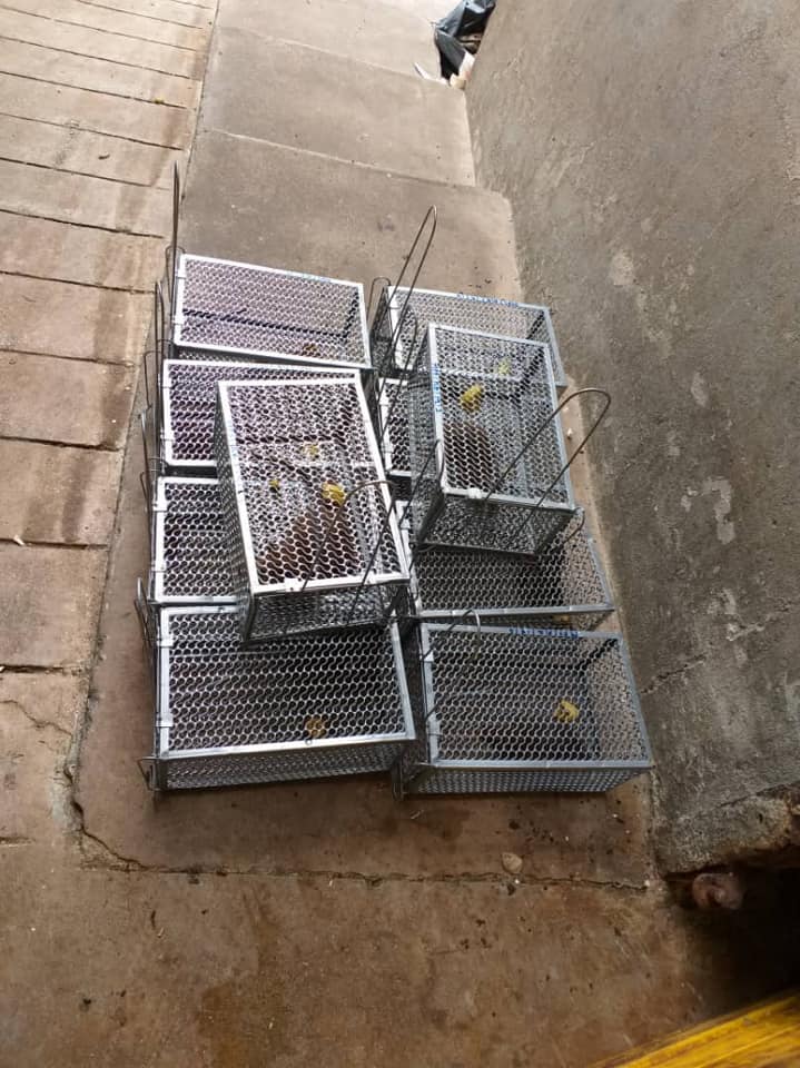 OPERASI TANGKAPAN TIKUS DI PASAR AWAM2