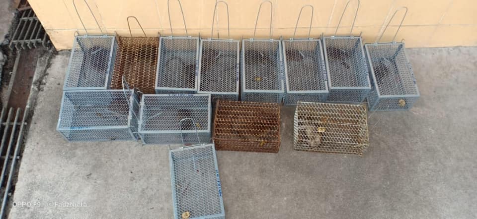 OPERASI TANGKAPAN TIKUS DI PASAR AWAM