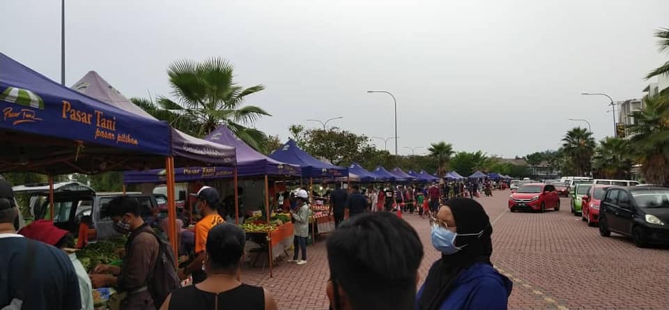 PEMANTAUAN PASAR TANI