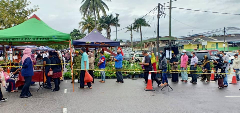 PEMANTAUAN PASAR TANI