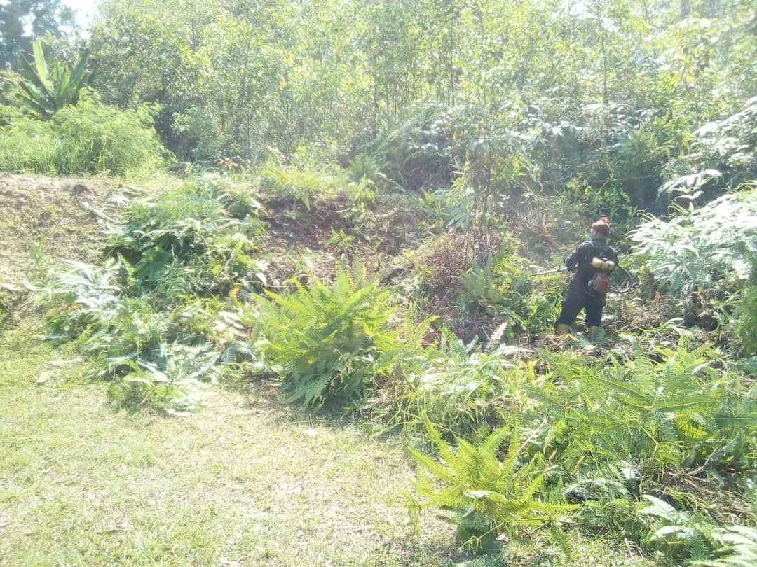 KERJA KERJA PEMBERSIHAN