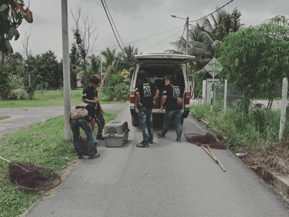 OPERASI MENYELAMATKAN HAIWAN TERBIAR (ANJING) 