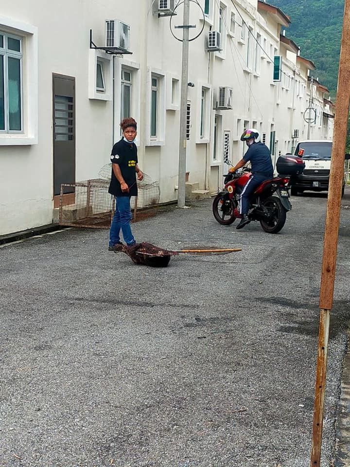 OPERASI MENYELAMATKAN HAIWAN TERBIAR (ANJING)
