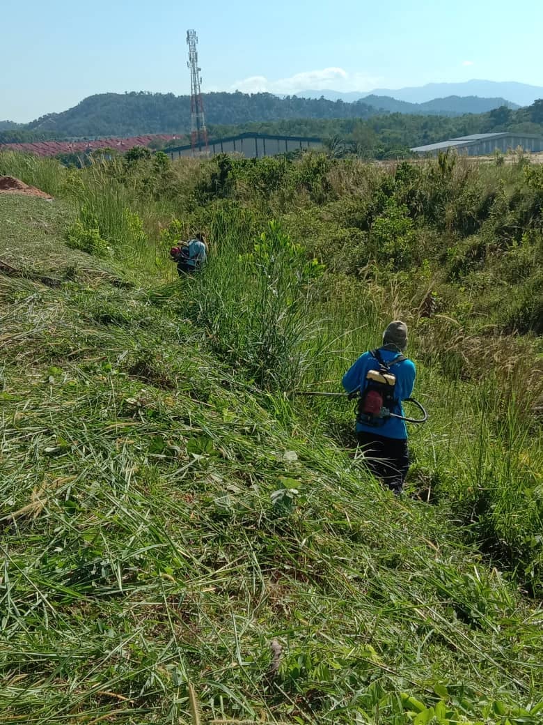 KERJA-KERJA PENYELENGGARAAN RUMPUT