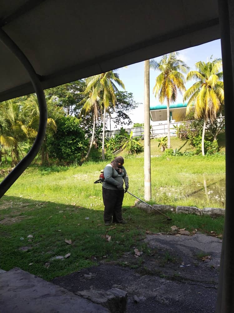 KERJA-KERJA PENYELENGGARAAN RUMPUT