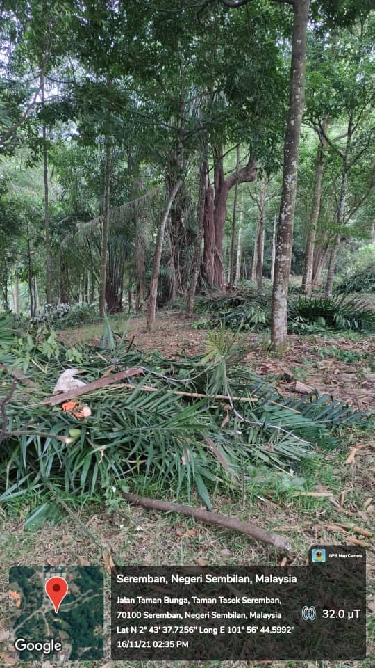 PEMBERSIHAN TANAH TERBIAR