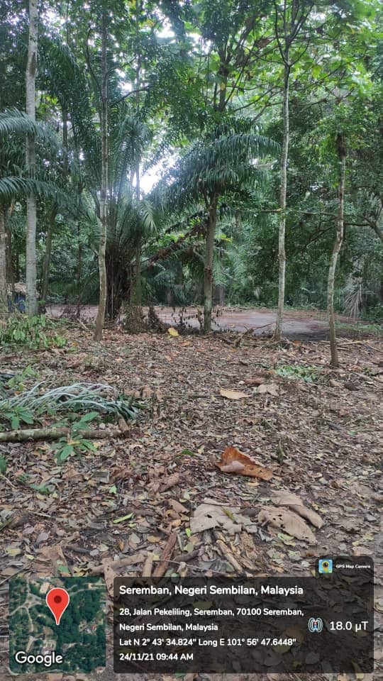 PEMANTAUAN PEMBERSIHAN TANAH TERBIAR