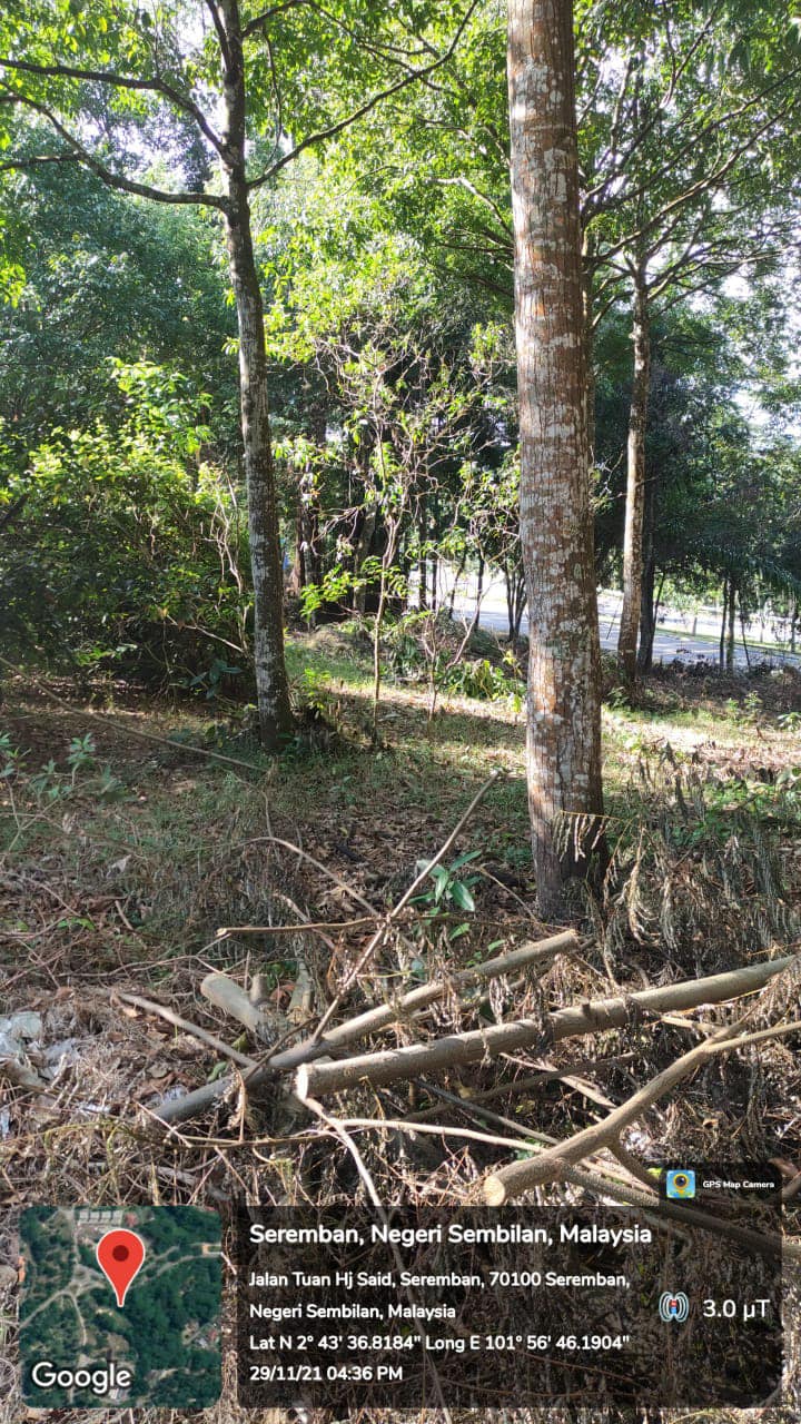 GALERI DIRAJA TUANKU JAAFAR, SEREMBAN.