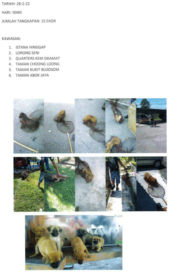 LAPORAN TANGKAPAN ANJING SEPANJANG BULAN FEBRUARI 2022