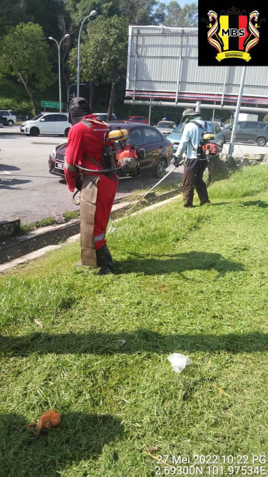 KERJA-KERJA PENYELENGGARAAN RUMPUT
