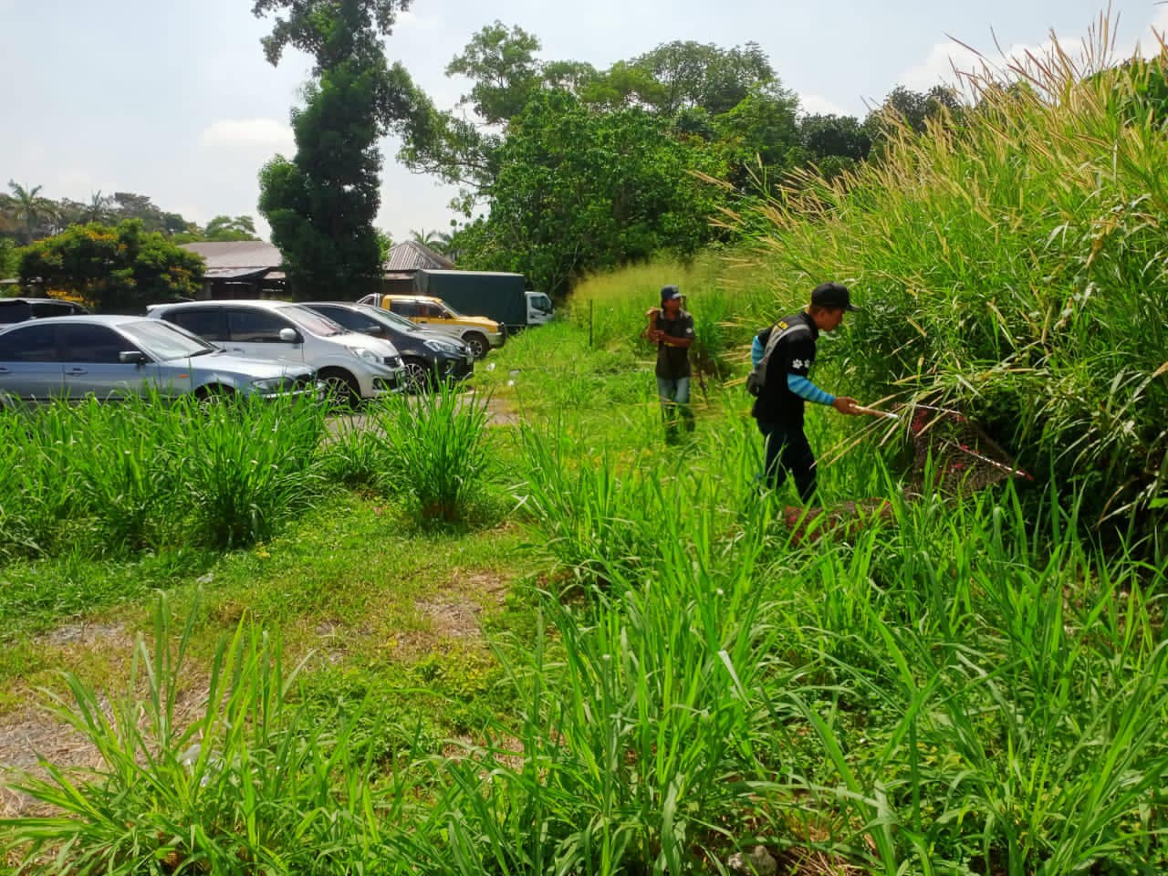 OPERASI MENYELAMATKAN HAIWAN TERBIAR (ANJING) OLEH MBS 