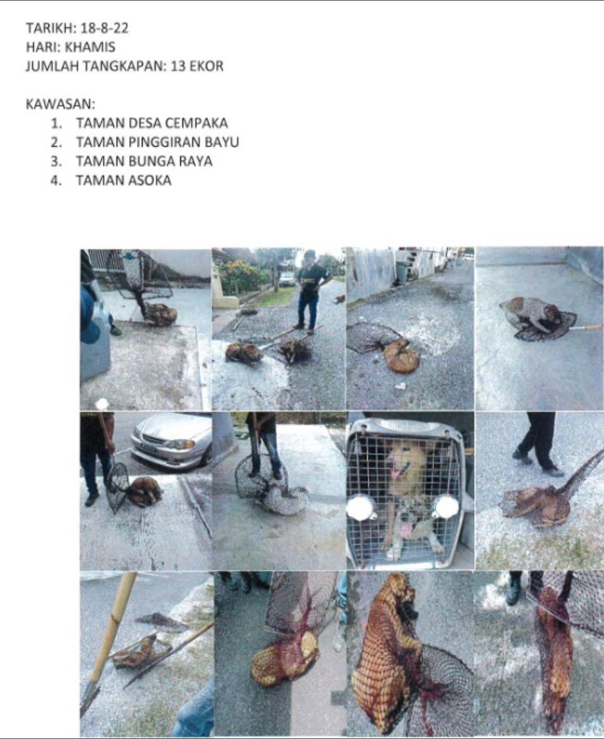 LAPORAN OPERASI TANGKAPAN ANJING LIAR / TERBIAR DI DALAM KAWASAN PENTADBIRAN MAJLIS BANDARAYA SEREMBAN 