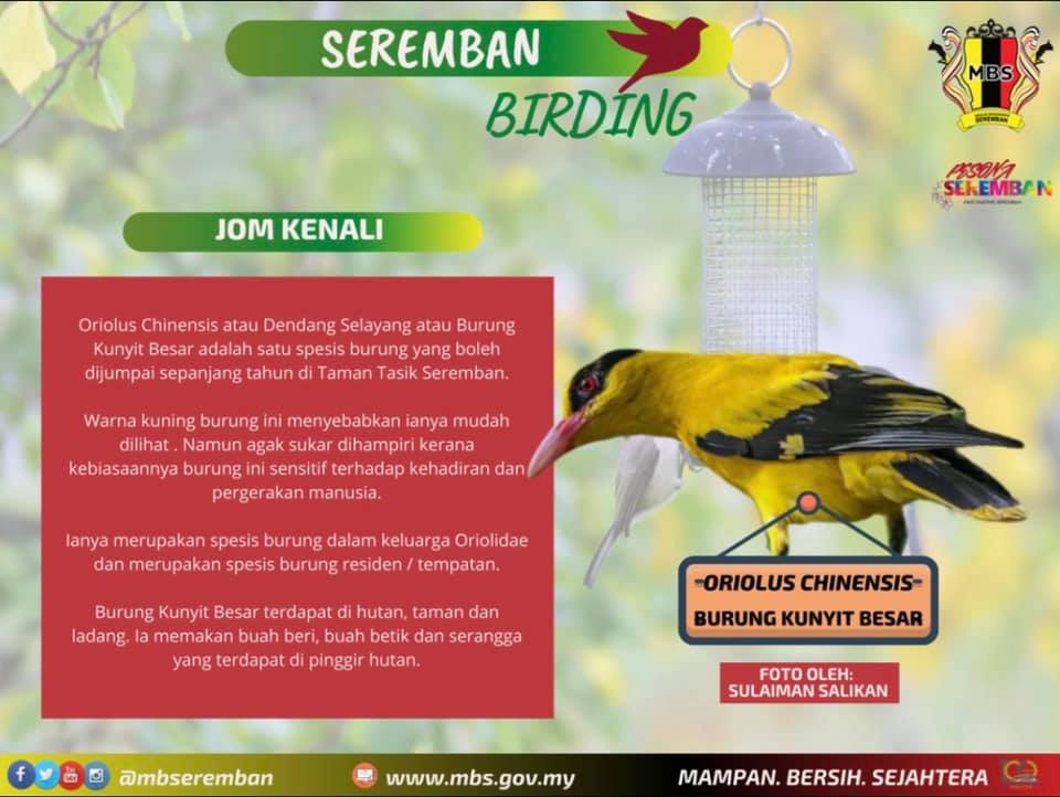 SEREMBAN BIRDING TOURISM