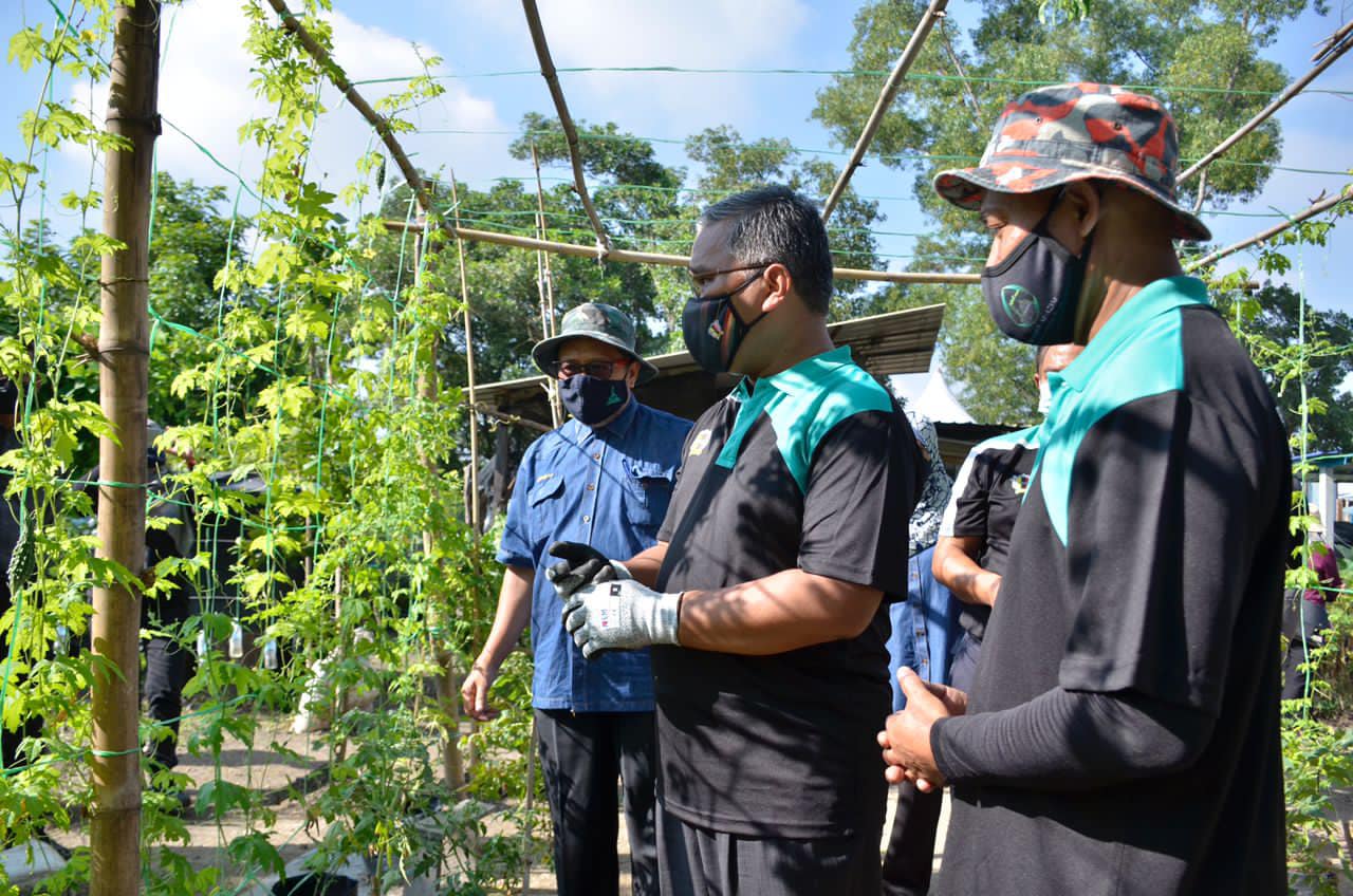 MAJLIS PERASMIAN PROGRAM KEBUN KOMUNITI TAMAN SEMARAK, NILAI