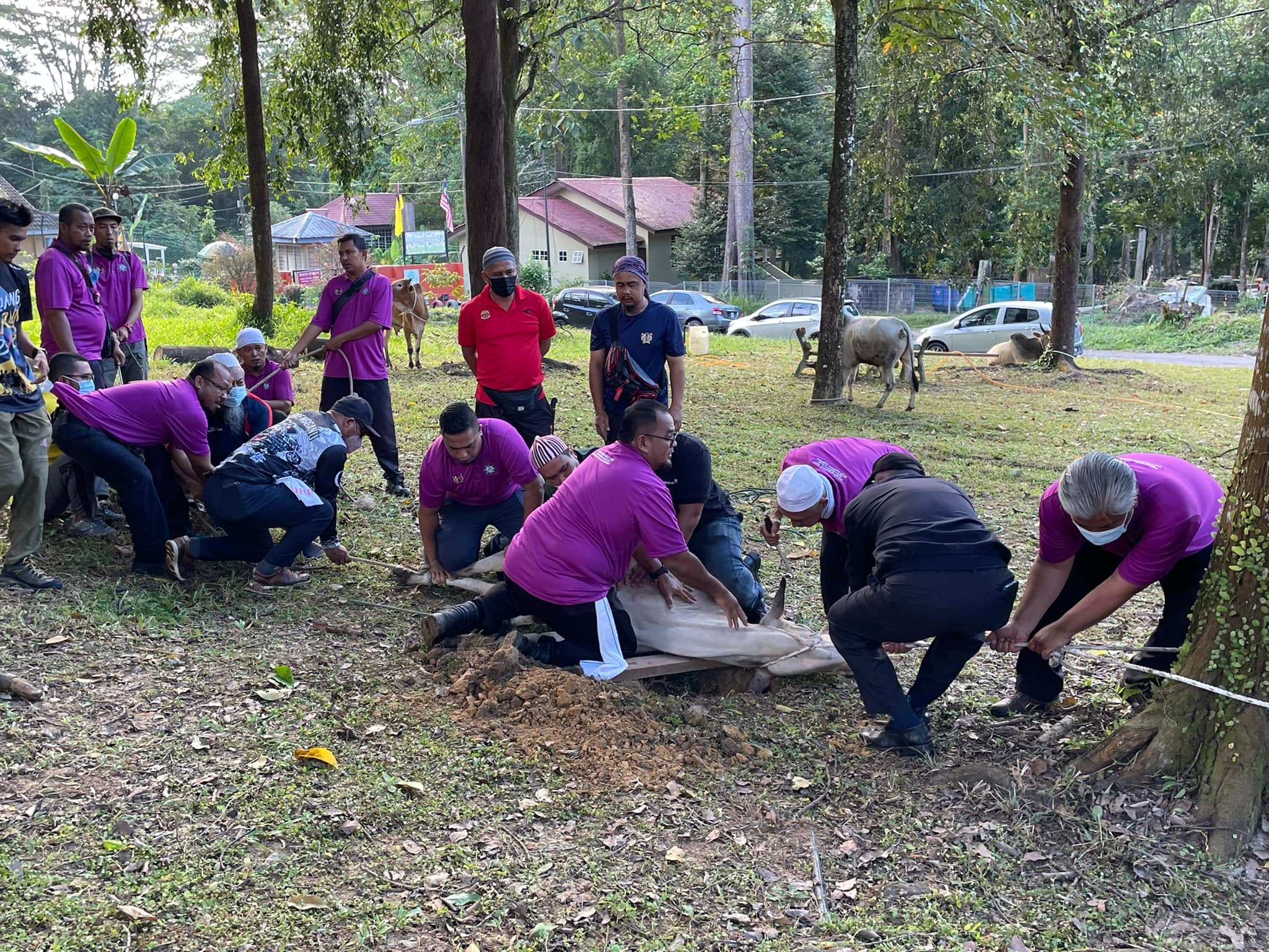 MAJLIS IBADAH KORBAN 1443 HIJRAH ANJURAN BAKI MBS