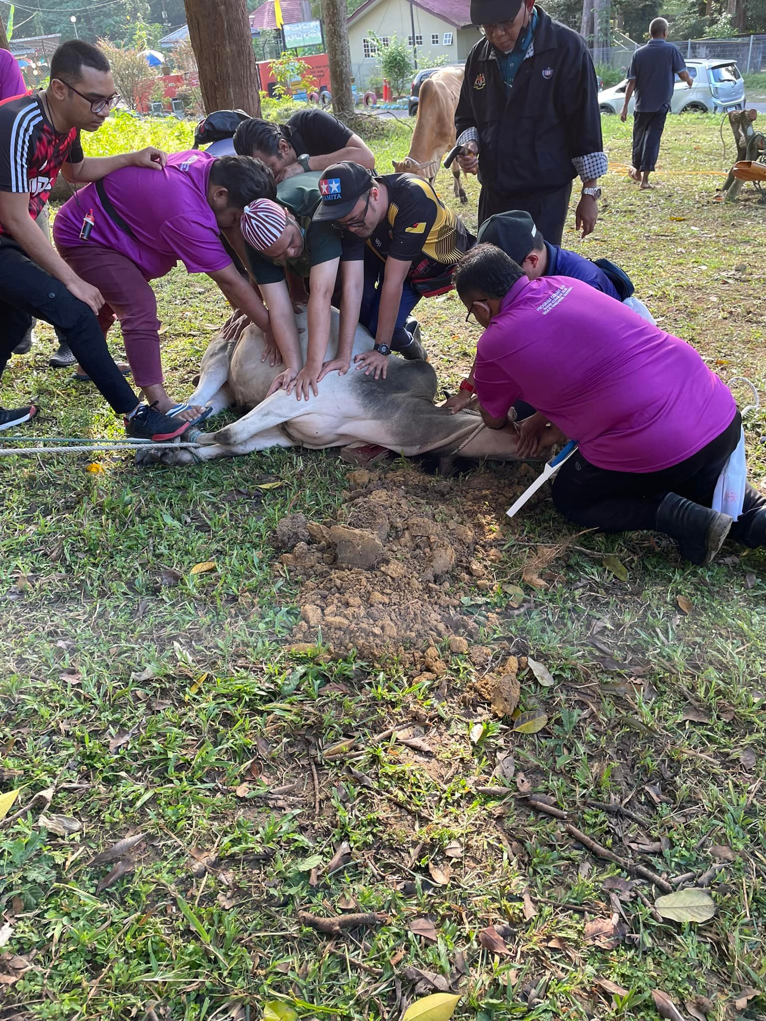 MAJLIS IBADAH KORBAN 1443 HIJRAH ANJURAN BAKI MBS