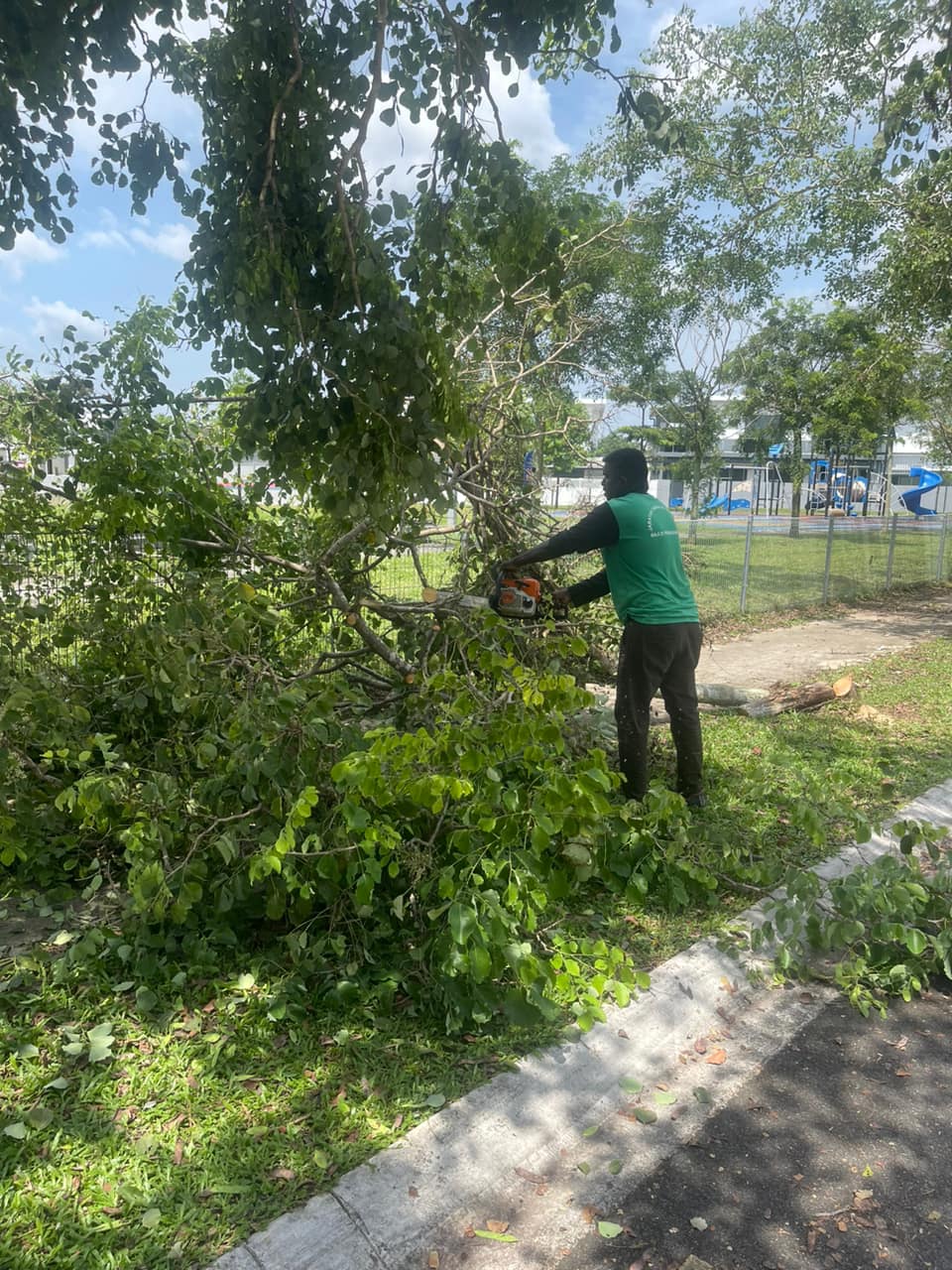 Kemukakan aduan melalui SISPAA MBS mbseremban.spab.gov.my atau muat turun secara PERCUMA aplikasi Respons Rakyat melalui Google Play / Aps Store atau hubungi Unit Call Centre MBS ditalian 067654444 yang beroperasi dari hari Isnin hingga Jumaat dari jam 8.00 pagi sehingga 8.00 malam.
