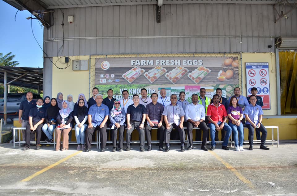 LAWATAN TURUN PADANG DATUK BANDAR DI QL POULTRY FARM, PAJAM