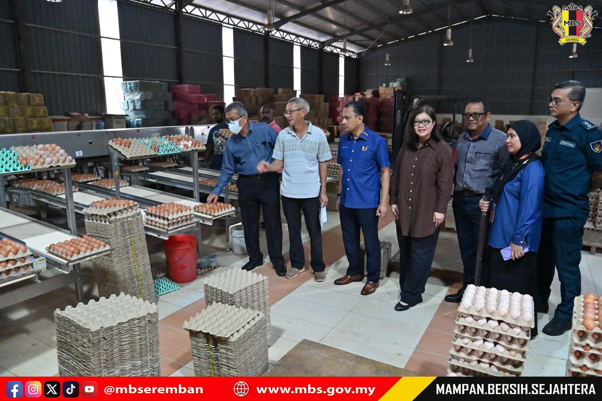 ISU BAU AYAM : MBS BERTINDAK SEGERA