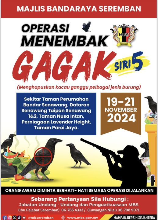 Operasi Menembak Burung Gagak Siri 5