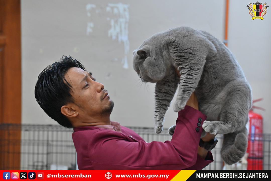 PERTANDINGAN & PERTUNJUKAN KUCING SEMPENA ULANG TAHUN KE-5 MAJLIS BANDARAYA SEREMBAN 2025