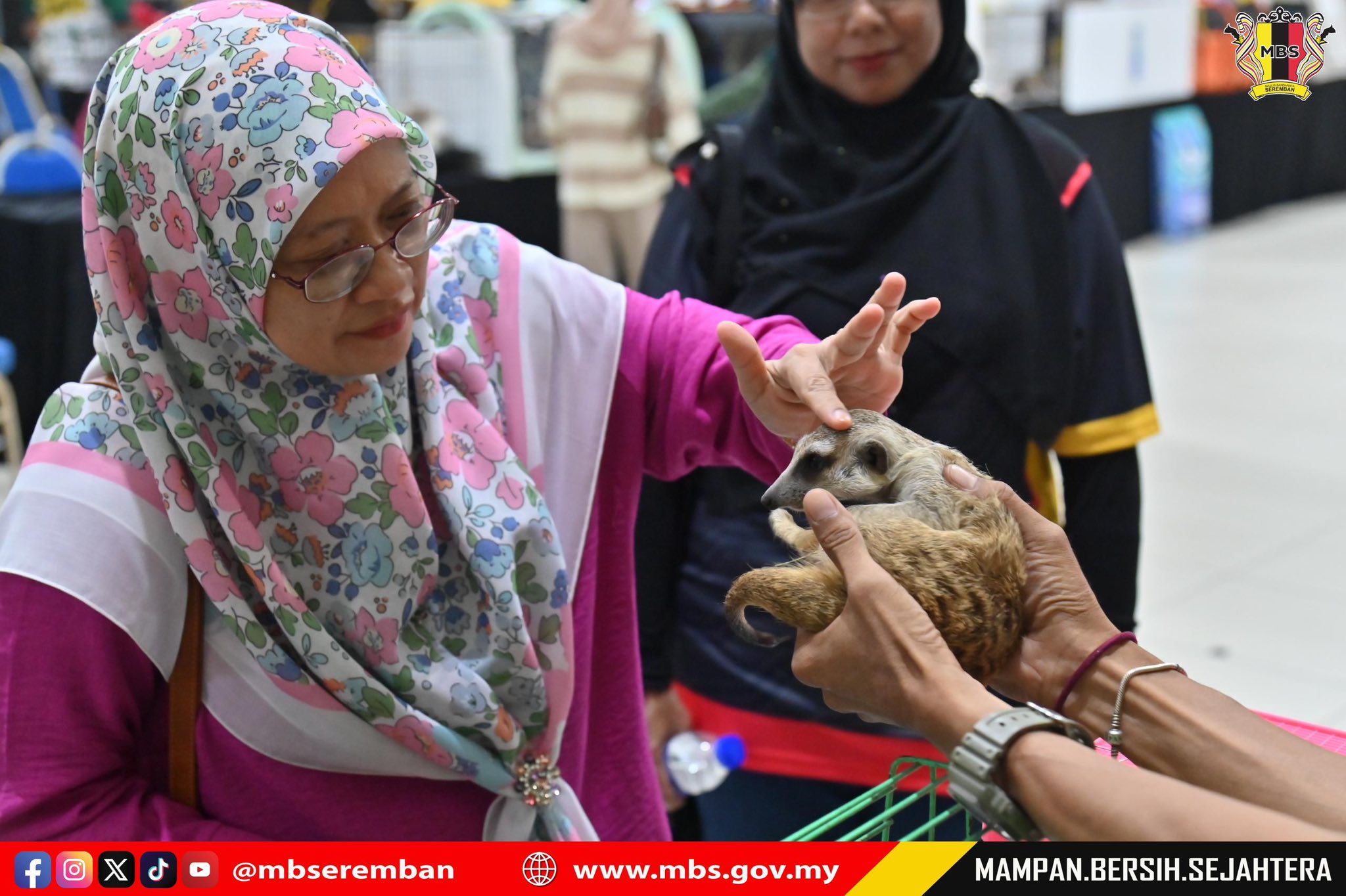 PERTANDINGAN & PERTUNJUKAN KUCING SEMPENA ULANG TAHUN KE-5 MAJLIS BANDARAYA SEREMBAN 2025