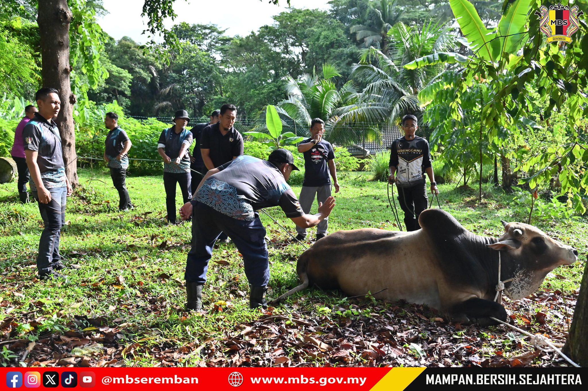 PROGRAM IBADAH KORBAN 1446H BAKI MBS