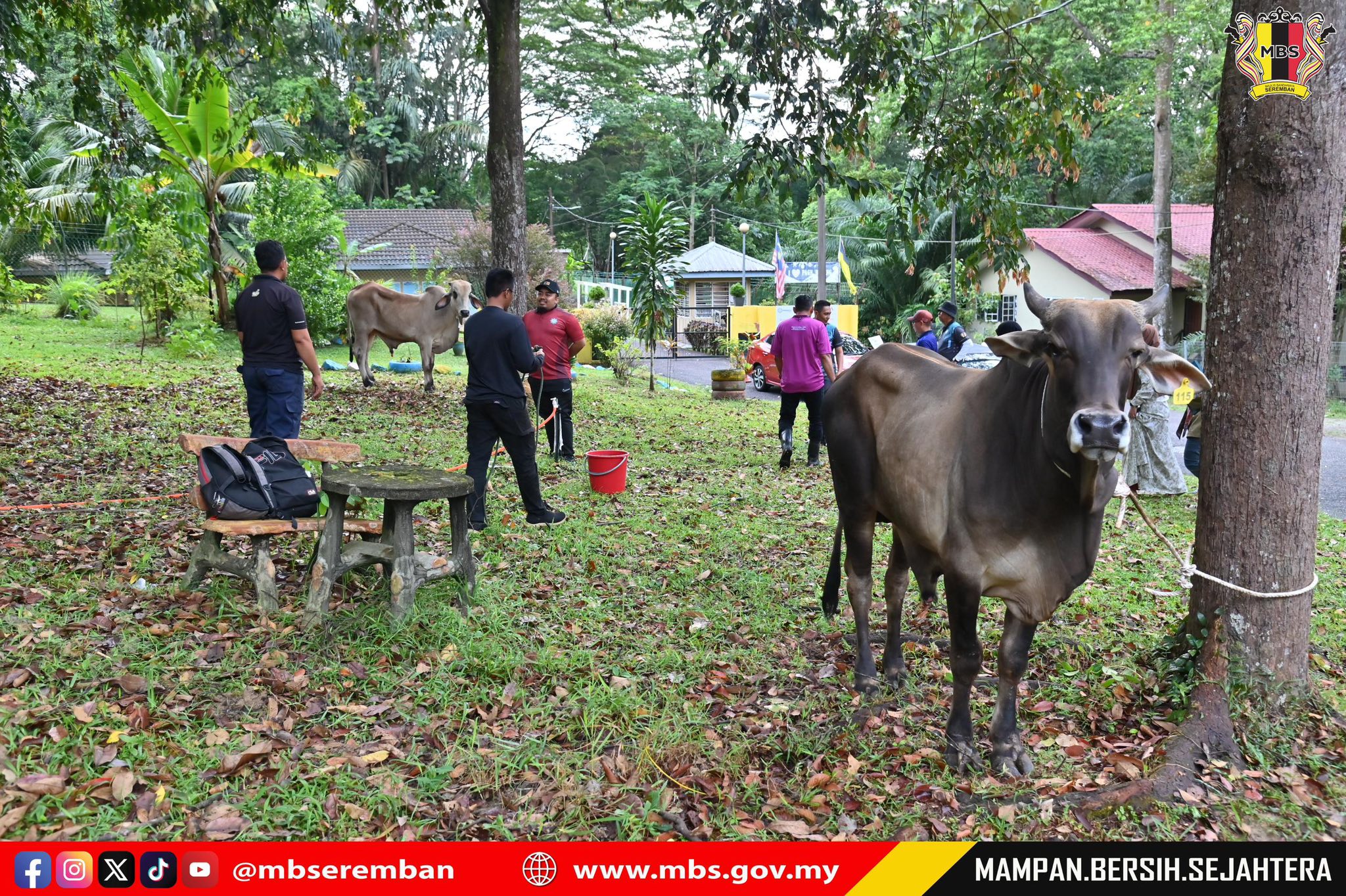 PROGRAM IBADAH KORBAN 1446H BAKI MBS