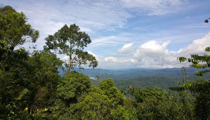 gunung Angsi