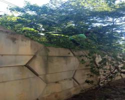 MPS telah membuat kerja-kerja CSR dgn membersihkan pokok tumbang di jalan utama di bawah flyover berdekatan Taman Bidara