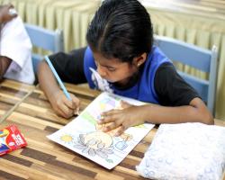 Program Go Green 2017