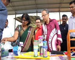 Program Go Green 2017