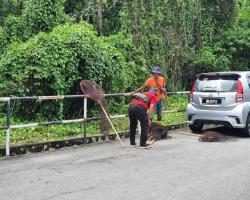 OPERASI MENANGKAP ANJING TIDAK BERTUAN