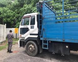 PEMANTAUAN KENDERAAN BERAT