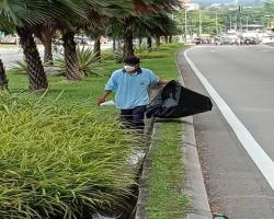 KERJA-KERJA PEMBERSIHAN DAHAN POKOK/SAMPAH