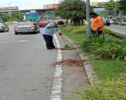 KERJA-KERJA PEMBERSIHAN DAHAN POKOK/SAMPAH