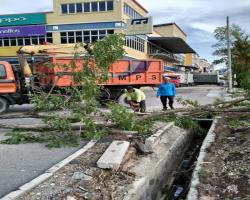 KERJA-KERJA PEMBERSIHAN DAHAN POKOK PATAH DI PASAR RASAH JAYA