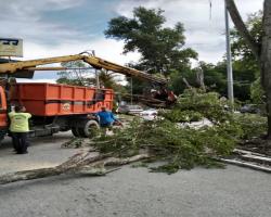 KERJA-KERJA PEMBERSIHAN DAHAN POKOK PATAH DI PASAR RASAH JAYA