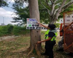 PEMANTAUAN IKLAN  BANNER