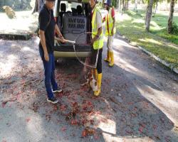 OPERASI MENANGKAP ANJING TIDAK BERTUAN