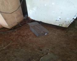 OPERASI TANGKAPAN TIKUS DI PASAR AWAM