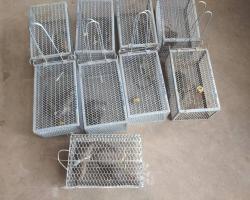 OPERASI TANGKAPAN TIKUS DI PASAR AWAM