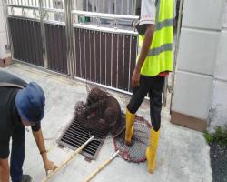 OPERASI MENANGKAP ANJING TIDAK BERTUAN