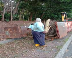 KERJA-KERJA PEMBERSIHAN DAHAN POKOK/SAMPAH