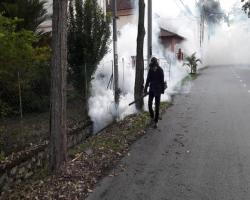 AKTIVITI KAWALAN DEMAM DENGGI DALAM KAWASAN MBS