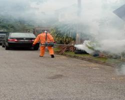 AKTIVITI KAWALAN DEMAM DENGGI DALAM KAWASAN MBS