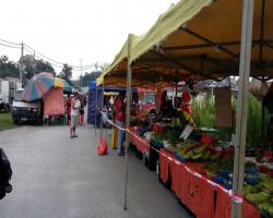 PEMANTAUAN & PEMATUHAN SOP PASAR MALAM