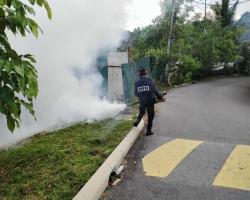 AKTIVITI KAWALAN DEMAM DENGGI