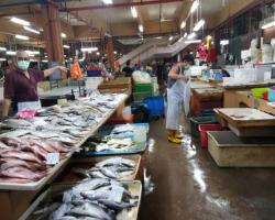 OPERASI PEMERIKSAAN SUHU & PEMATUHAN JARAK SOSIAL